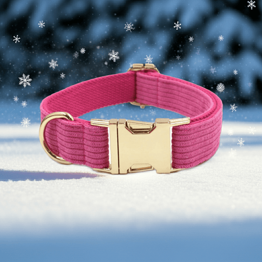 Classic Adjustable Dog Collar – Comfortable & Durable - PUPESSEN