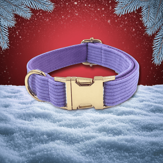 LED Reflective Dog Collar – Night Safety & Visibility - PUPESSEN