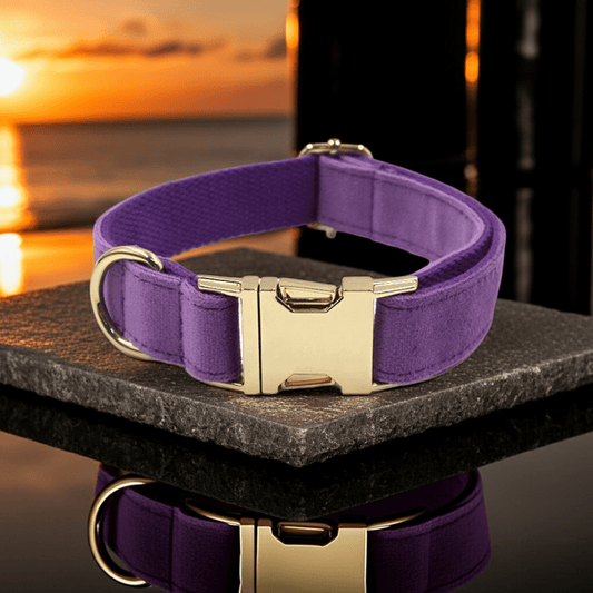 Luxury Designer Dog Collar – Soft, Stylish & Adjustable - PUPESSEN
