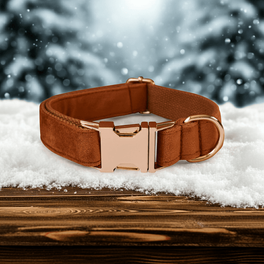 Premium Adjustable Dog Collar – Comfortable, Durable & Stylish - PUPESSEN