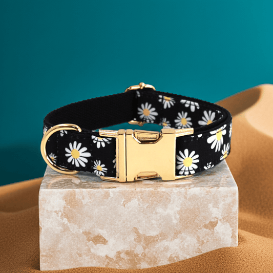 Reflective Safety Dog Collar – Adjustable & Night - Visible - PUPESSEN