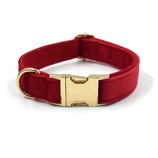Dog Collar